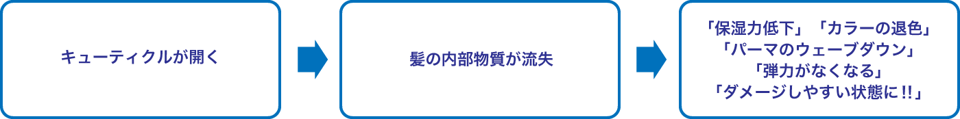 髪のダメージプロセス／炭酸泉